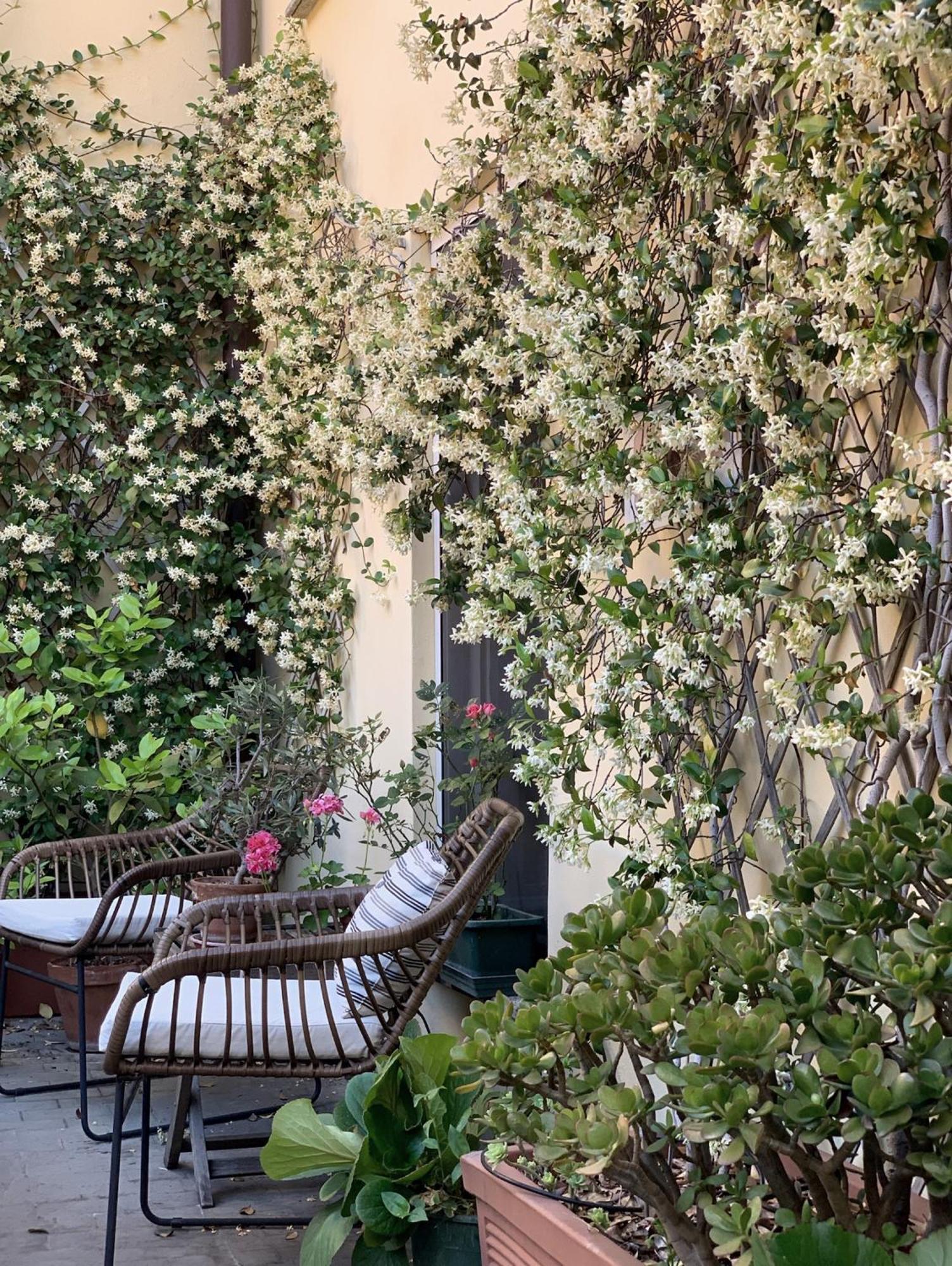 Gioia House Bed and Breakfast Milano Exteriör bild