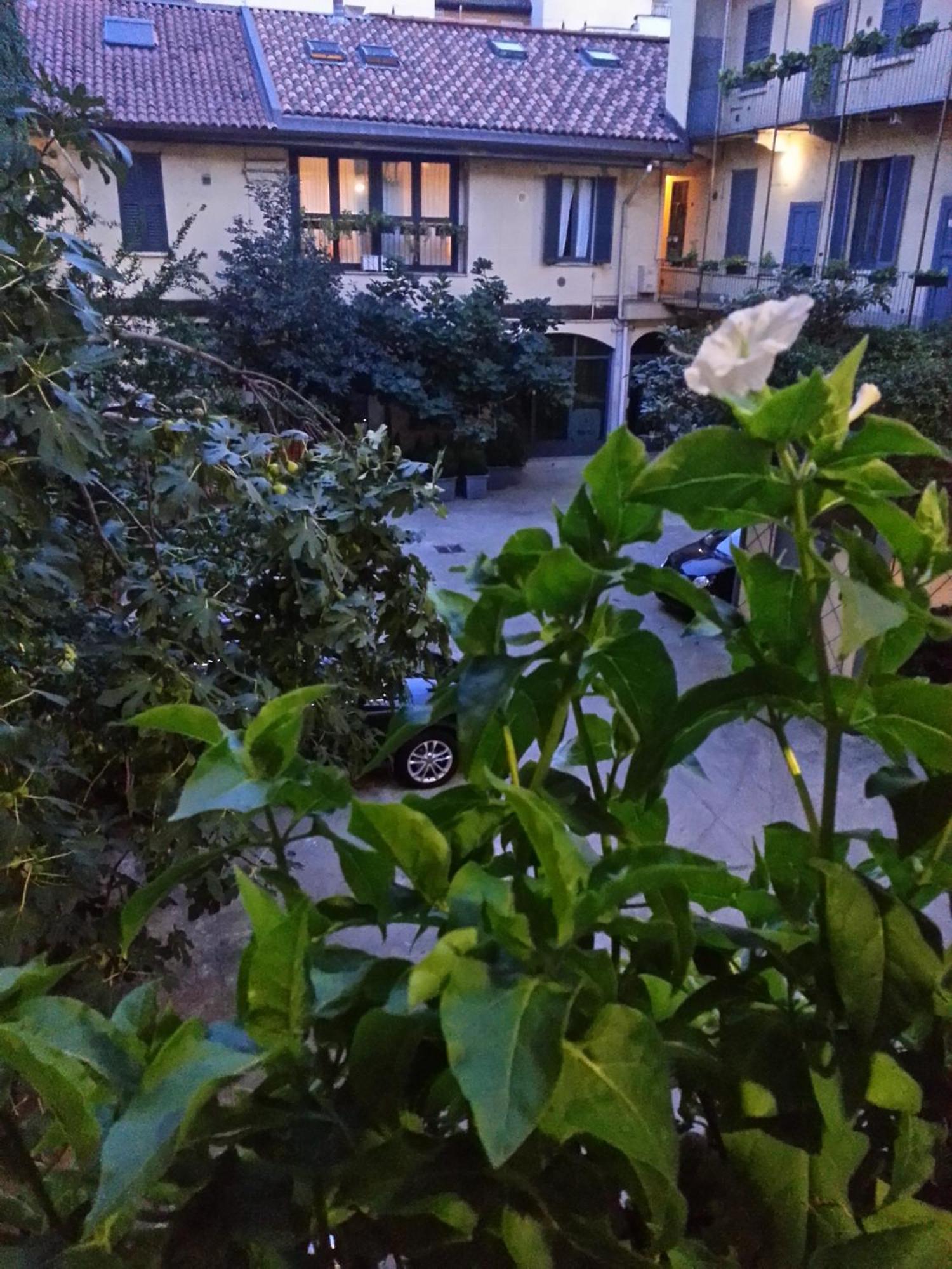 Gioia House Bed and Breakfast Milano Exteriör bild